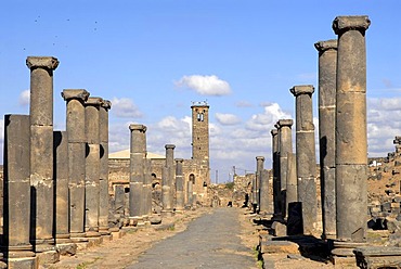 Roman colonnade in Bosra, Syria, Middle East, Asia