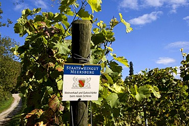 Sign, state winery Meersburg, Baden-Wuerttemberg, Germany