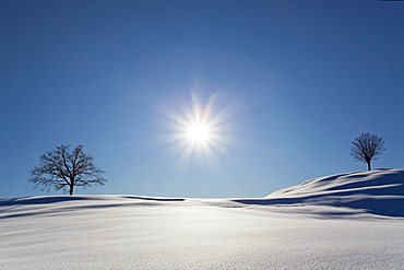 Winter landscape with fresh snow in the Alpstein massif, Appenzell, Switzerland, Europe