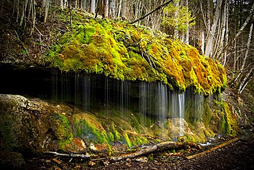 Waterfall, mossy, Wutachschlucht gorge, Black Forest, Baden-Wuerttemberg, Germany, Europe