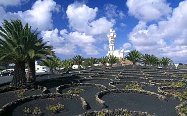 Vineyards at Monumento al Campesino in San Bartolome, Lanzarote, Canary Islands, Spain, Europe