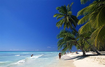 Palm beach on Saona Island, Parque Nacional del Este, Dominican Republic, Caribbean