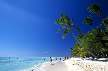 Palm beach on Saona Island, Parque Nacional del Este, Dominican Republic, Caribbean