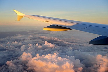 Wings, plane, Lufthansa Airbus A340-313X, above the clouds at sunrise