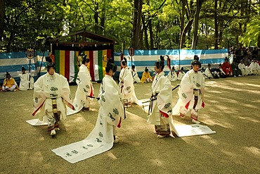 Return of the procession to the Shimogamo shrine, ritual dances in front of the Sacred Horse, Kyoto, Japan, Asia