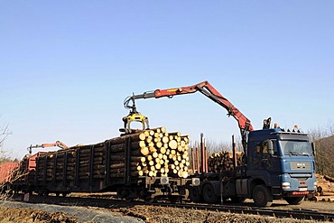 Wind breakage from the Kyrill hurricane being loaded from a truck onto a train, Wittgenstein, North Rhine-Westphalia, Germany