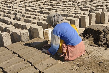 Brickworks, Ladakhi woman kneading clay bricks, Leh, Ladakh, North India, Himalaya