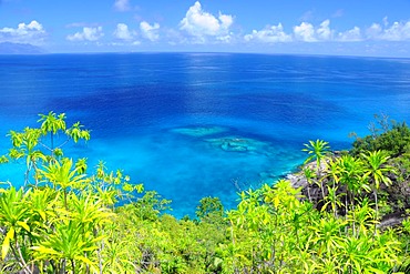 Tropical vegetation in front of the ocean, northwest coast, Mahe, Seychelles