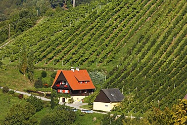 Vineyards, Kitzeck im Sausal, Sausaler Weinstrasse, Styria, Austria, Europe