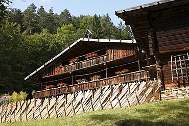 Austrian Open Air Museum Stuebing, Styria, Austria, Europe