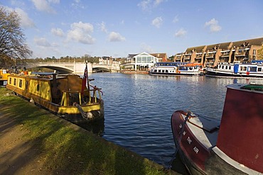 Caversham Bridge and Pipers Island, autumn, Thames Side Promenade, Reading, Berkshire, UK