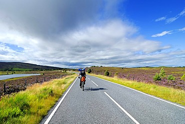 Cyclist in the Grampian Mountains, Scotland, Great Britain, Europe