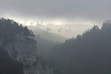 Early morning fog in upper Danube valley, Baden-Wuerttemberg, Germany, Europe