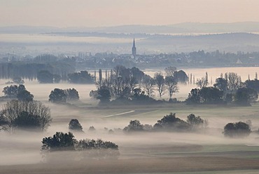 Early morning fog over Radolfzeller Aachried, city of Radolfzell in background, county Constance, Baden-Wuerttemberg, Germany, Europe