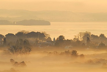 Early morning fog over Radolfzeller Aachried, county Constance, Baden-Wuerttemberg, Germany, Europe