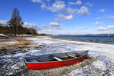 Renaturalised pebble lakeside at Lake Constance, district of Konstanz, Baden-Wuerttemberg, Germany, Europe