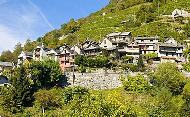 A typical village in the Valle Verzasca, Canton Ticino, Switzerland, Europe