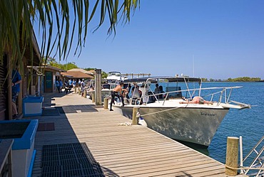 Jetty, boats, diving school, Hotel Anthony's Key Resort, Roatan, Honduras, Central America