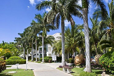 Cuban Royal Palms, Tryp Peninsula Hotel complex, Varadero, Cuba, Caribbean, America