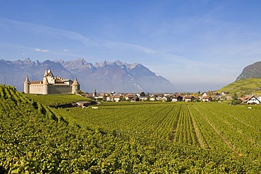 Chateau d'Aigle in the vineyards close to Lausanne, Kanton Waadt, Switzerland, Europe