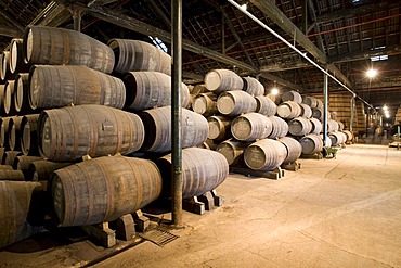 Oak barrels filled with port wine of Graham's Port Wine House on Rua Rei Ramiro, Vila Nova Gaia, Porto, UNESCO World Cultural Heritage Site, Portugal, Europe - Propertyrights www.symington.com JD@symington.com