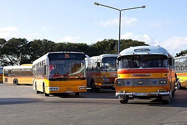 Typical Maltese public buses at City Gate, Valletta, Malta, Europe