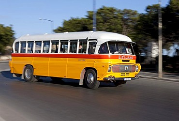 Typical Maltese public bus on Nelson Road, Valletta, Malta, Europe