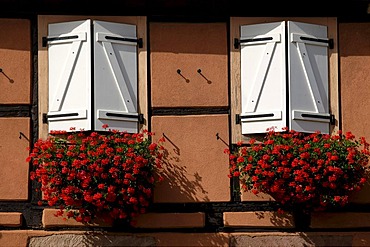 Windows with flower boxes, Colmar, Alsace, France, Europe