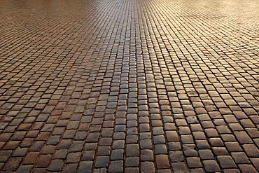 Backlit cobblestone pavement, Schwerin, Mecklenburg Western-Pomerania, Germany, Europe