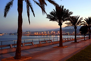 Promenade with palm trees and a sea view along the Autopista de Llevant shortly after sunset, Palma de Mallorca, Majorca, Balearic Islands, Mediterranean Sea, Spain, Europe