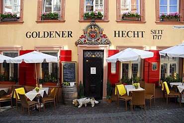 Goldener Hecht Restaurant with Austrian specialities, tables outside, facade, main entrance, historic center, Heidelberg, Neckar Valley, Baden-Wuerttemberg, Germany, Europe