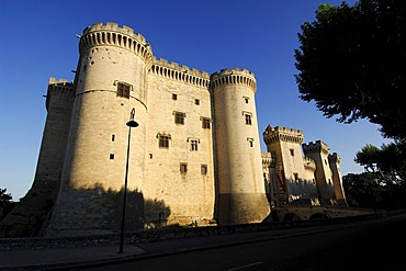 Chateau du Roi Rene Castle, Tarascon, Provence, France, Europe