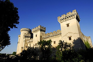 Chateau du Roi Rene Castle, Tarascon, Provence, France, Europe