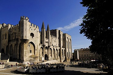 The Popes' Palace in Avignon, Provence, France, Europe