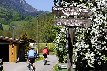 Cyclists cycling through Ruhpolding, Chiemgau, Bavaria, Germany, Europe