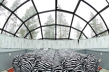 Glass igloo, Icehotel Kakslauttanen, Ivalo, Lapland, Finland, Europe