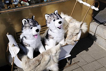 Stuffed huskies in a child's sled outside a rummage store, Esplanade, Helsinki, Finland, Europe