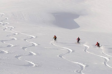 Ski hikers descending from the peak of Mount Joel, skiing tracks, slalom tracks, powder snow, Wildschoenau, Tyrol, Austria, Europe