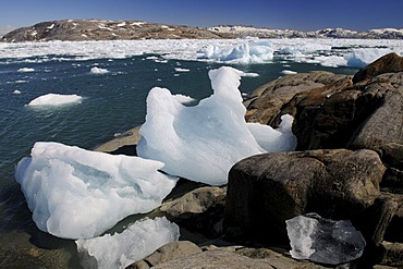 Icebergs in the Johan-Petersen-Fjord, East-Greenland, Greenland