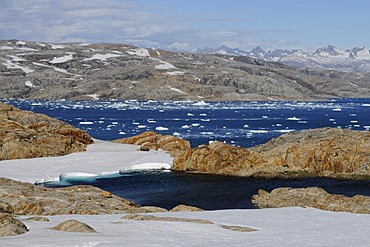 Hann glacier, icebergs, Johan-Petersen-Fjord, East Greenland, Greenland