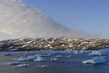 Icebergs in the Johan-Petersen-Fjord, East Greenland, Greenland