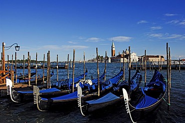 Gondolas at St. Mark's Square, view towards San Giorgio Maggiore, Venice, Veneto, Italy, Europe