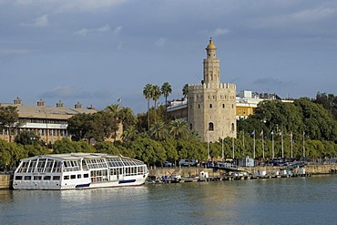 Torre del Oro, Gold Tower, Sevilla, Andalusia, Spain, Europe