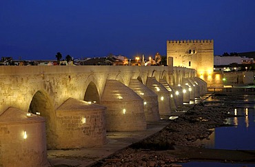 Puente Romano Bridge, Cordoba, Andalusia, Spain, Europe