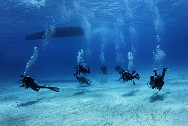 Scuba diving group swimming from the diving boat above a sandy seabed to a coral reef, Half Moon Caye, Lighthouse Reef, Turneffe Atoll, Belize, Central America, Caribbean