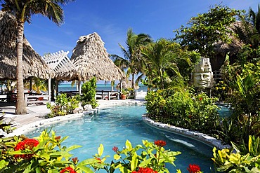 Hotel swimming pool with views onto the ocean, San Pedro, Ambergris Cay Island, Belize, Central America, Caribbean