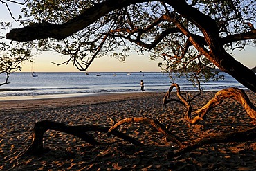 Beach of Playa Hermosa, Nicoya Peninsula, Costa Rica, Central America