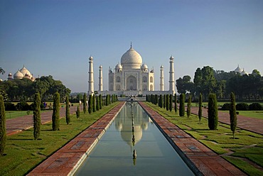 Mausoleum of the Taj Mahal, Agra, Uttar Pradesh, North India, India, Asia