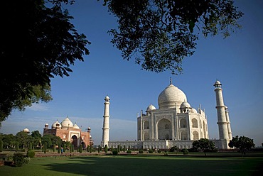 Mausoleum of the Taj Mahal, Agra, Uttar Pradesh, North India, India, Asia