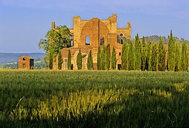 Basilica of the Cistercian Abbey Abbazia di San Galgano ruins by Chisudino, province of Siena, Tuscany, Italy, Europe